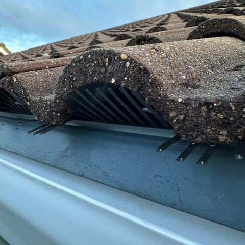 close up showing newly fitted bird guards ad eaves protection boards fitted under the tiles