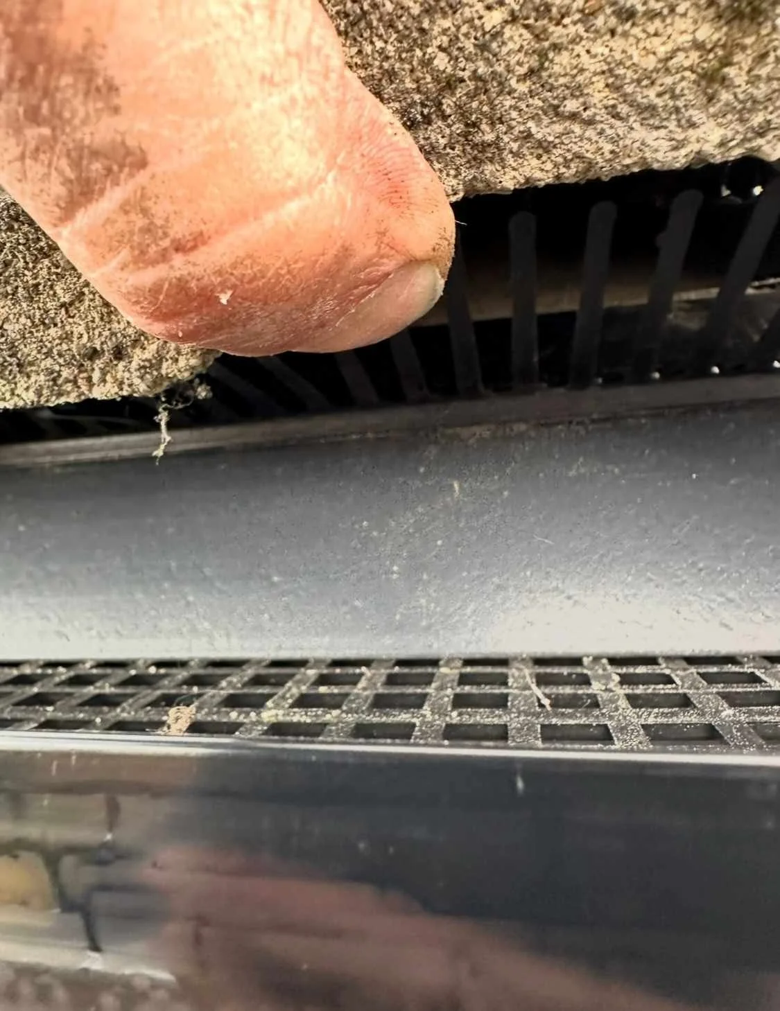 bird guard fitted to eaves protection system.jpg