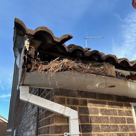 close up showing birds nests in the soffits
