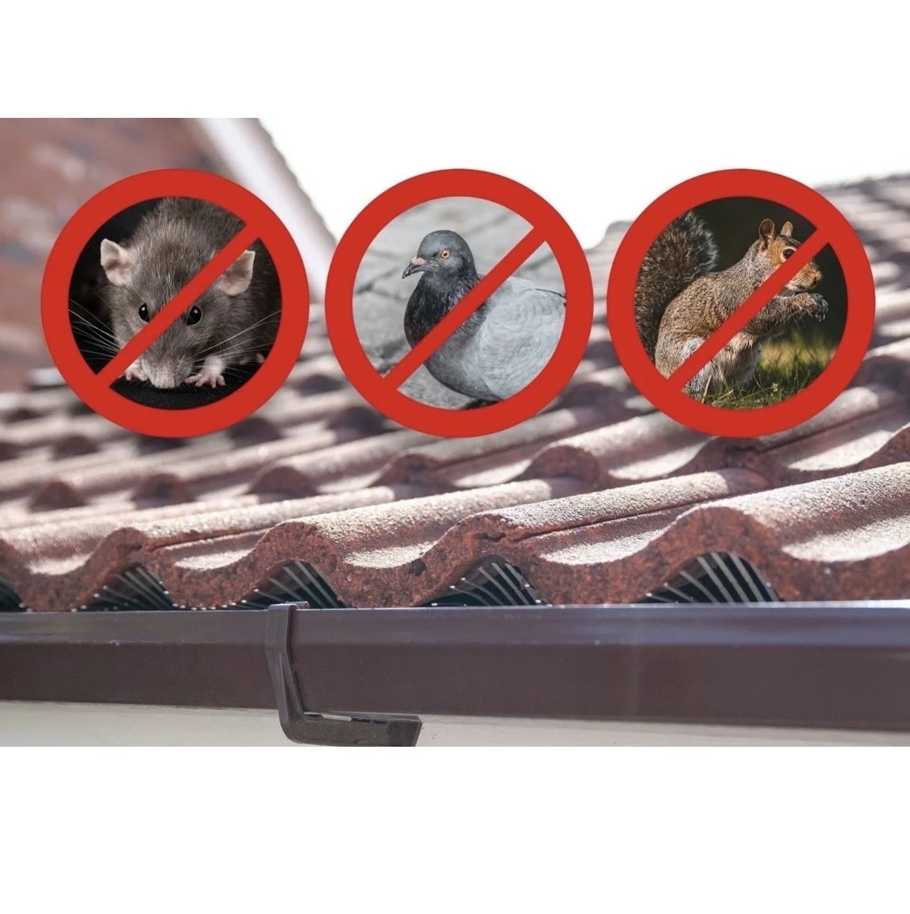 Image shows bird guard preventing rats birds and squirrels entry into the roof