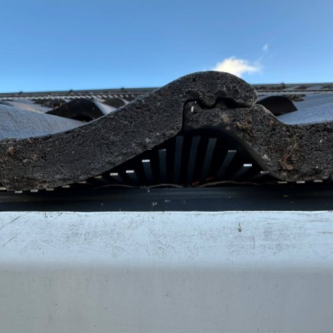 Image shows roofline in Christchurch Dorset with birdcomb bird guard system fitted under tiles