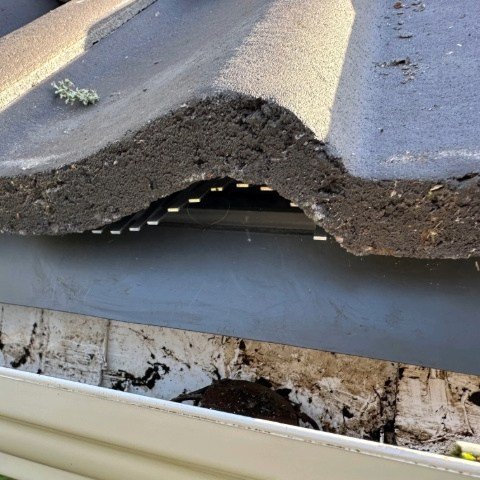 Image shows close up of metal birdcomb bird guard system installed under tiles in Christchurch, Dorset