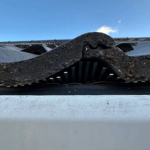 Image shows close up of metal birdcomb bird guard system installed under tiles in Christchurch, Dorset