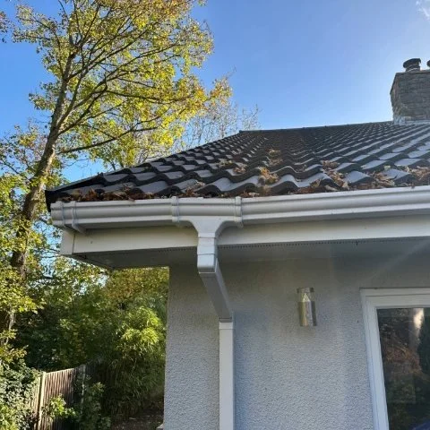 Image shows roofline in Christchurch, Dorset before new birdcomb bird guard system is fitted under the tiles