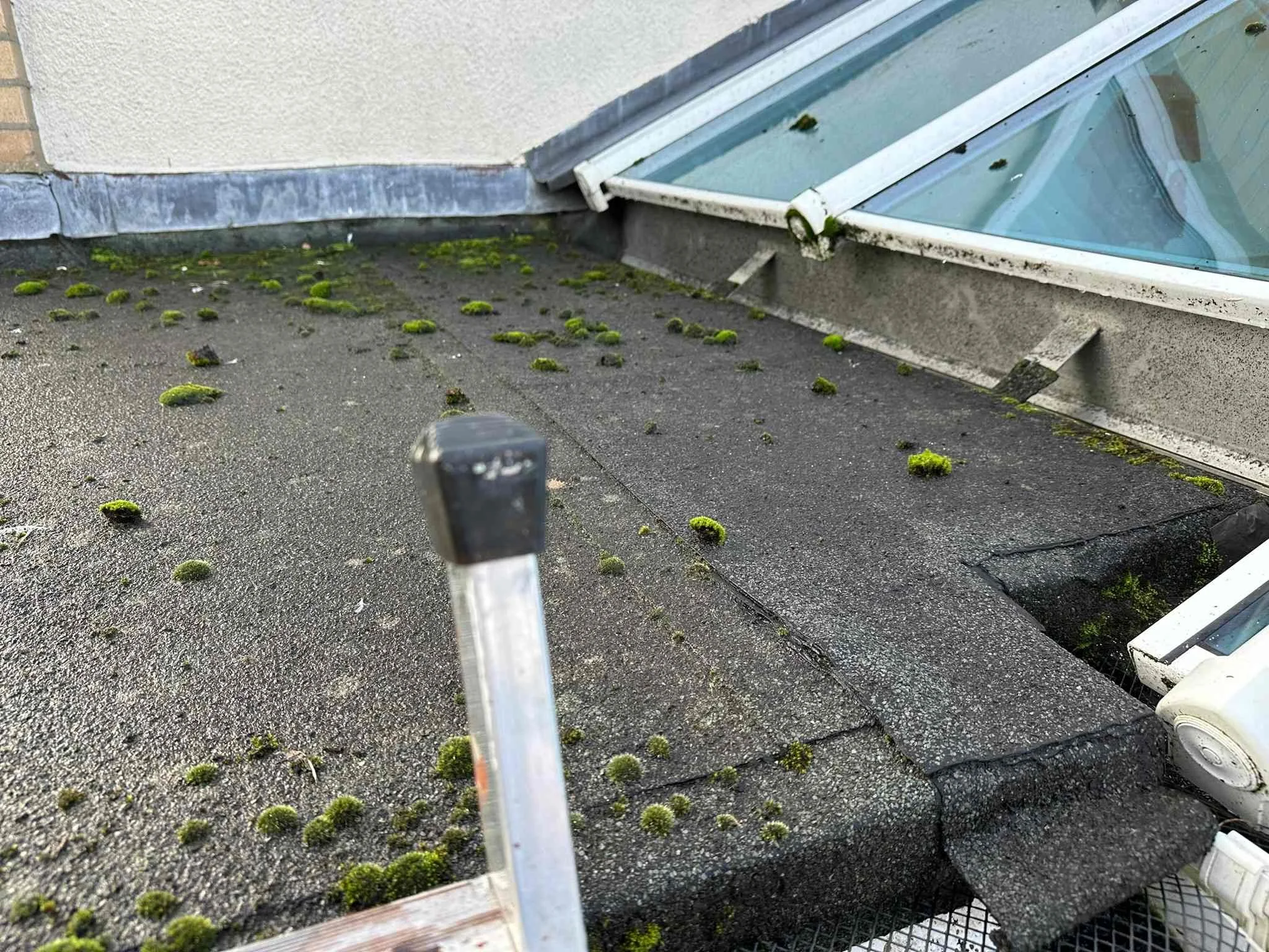 BEFORE.jpg