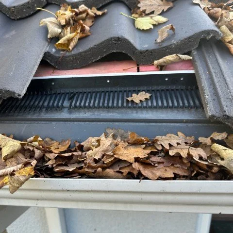 Image shows metal birdcomb bird guard system being installed under tiles in Christchurch, Dorset