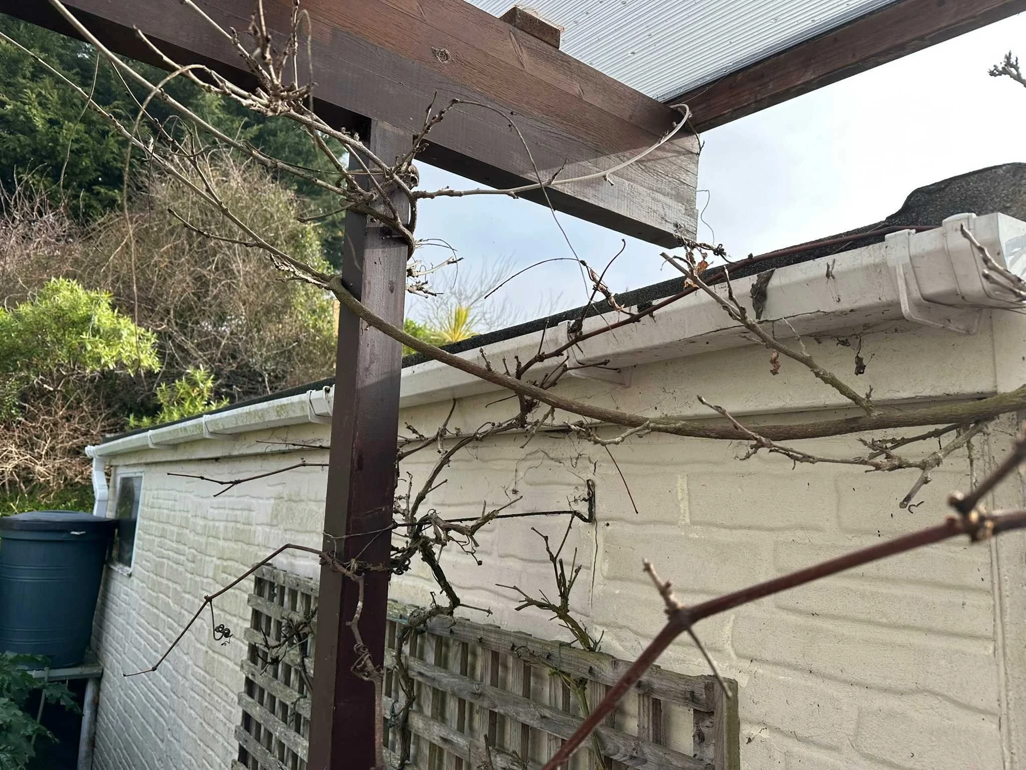 gutter before.jpg