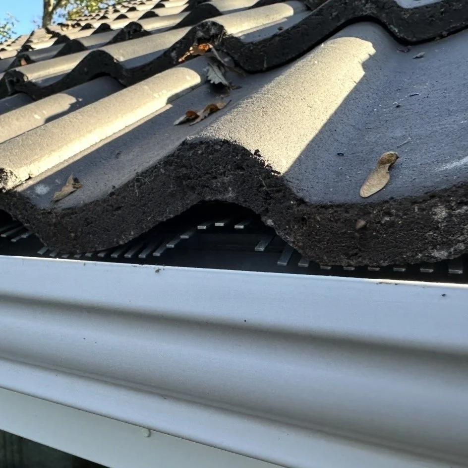 image shows metal birdcomb fitted onto roof