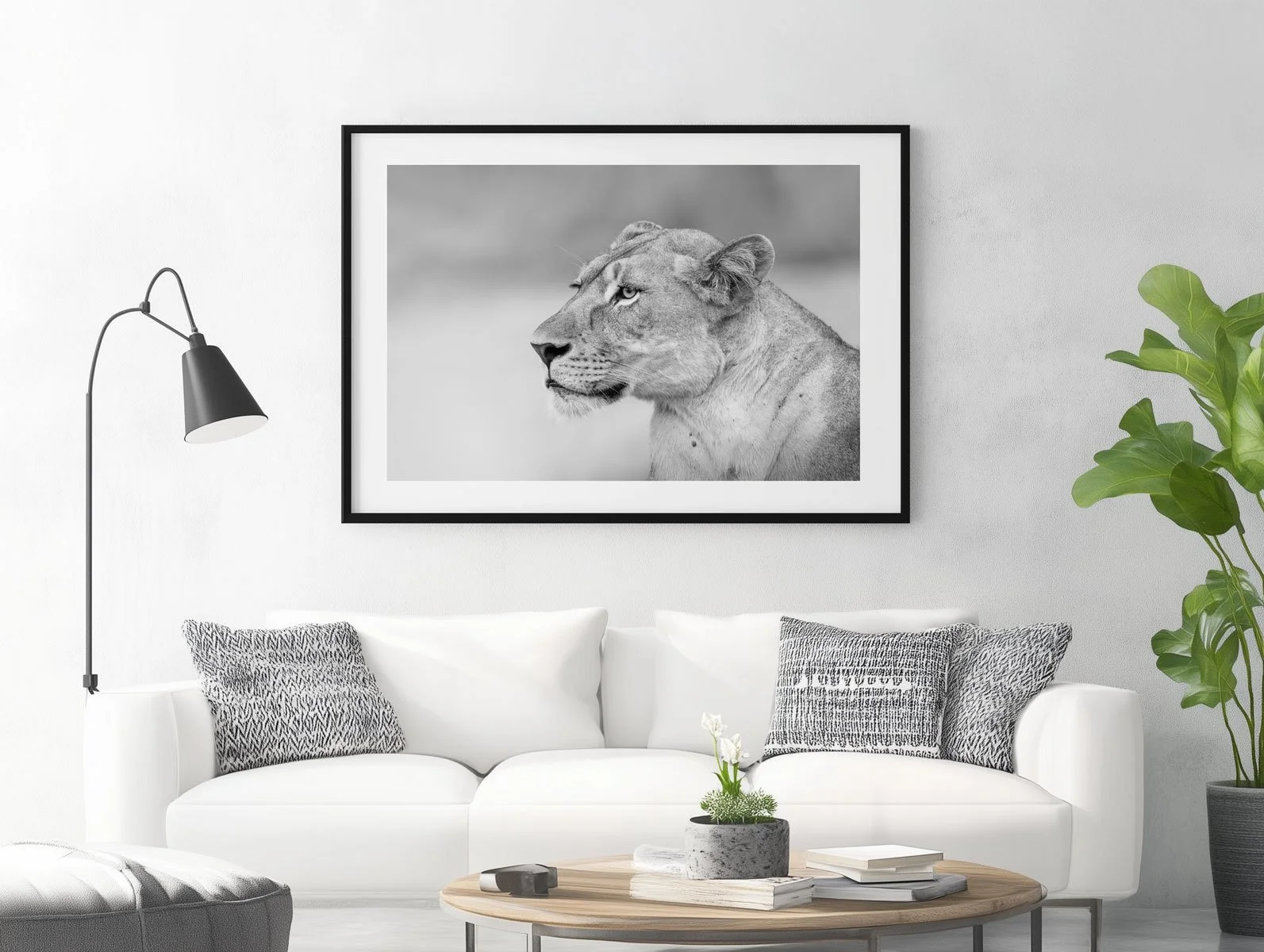 african-lionbw007-1.jpg