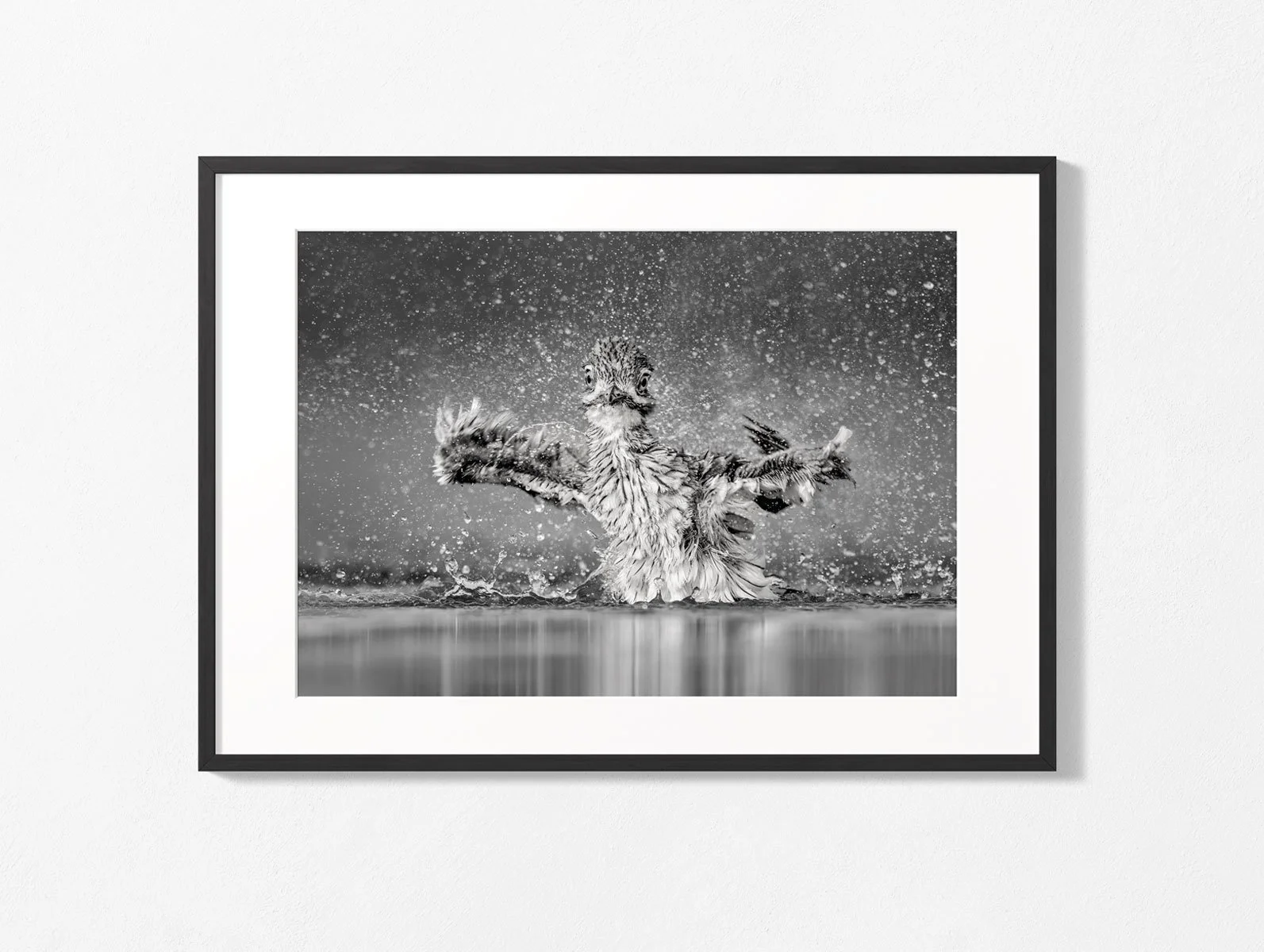 water-thick-knee008bw-wal3l.jpg