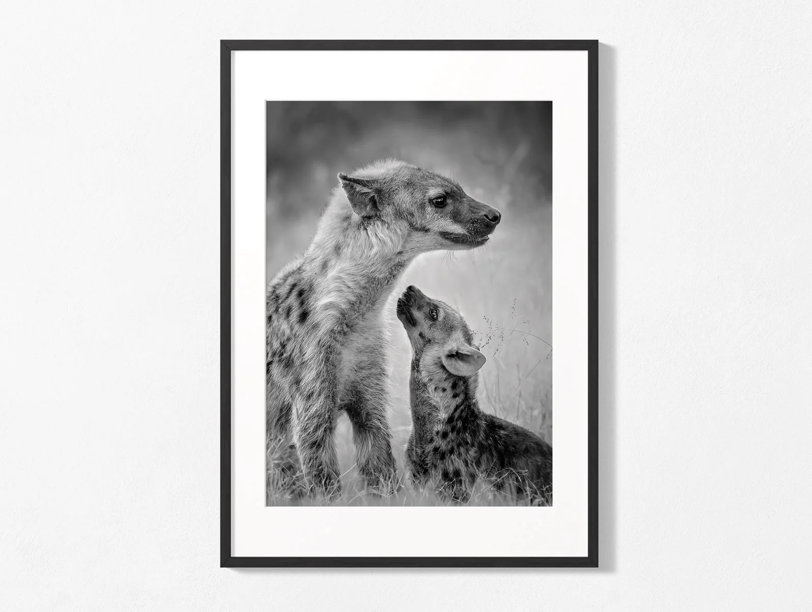 hyenas010-2.jpg