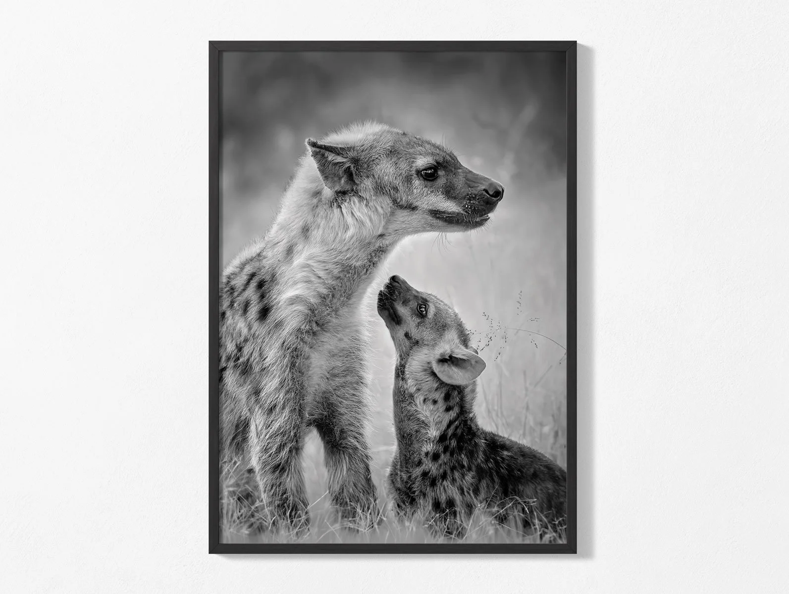hyenas010-3.jpg