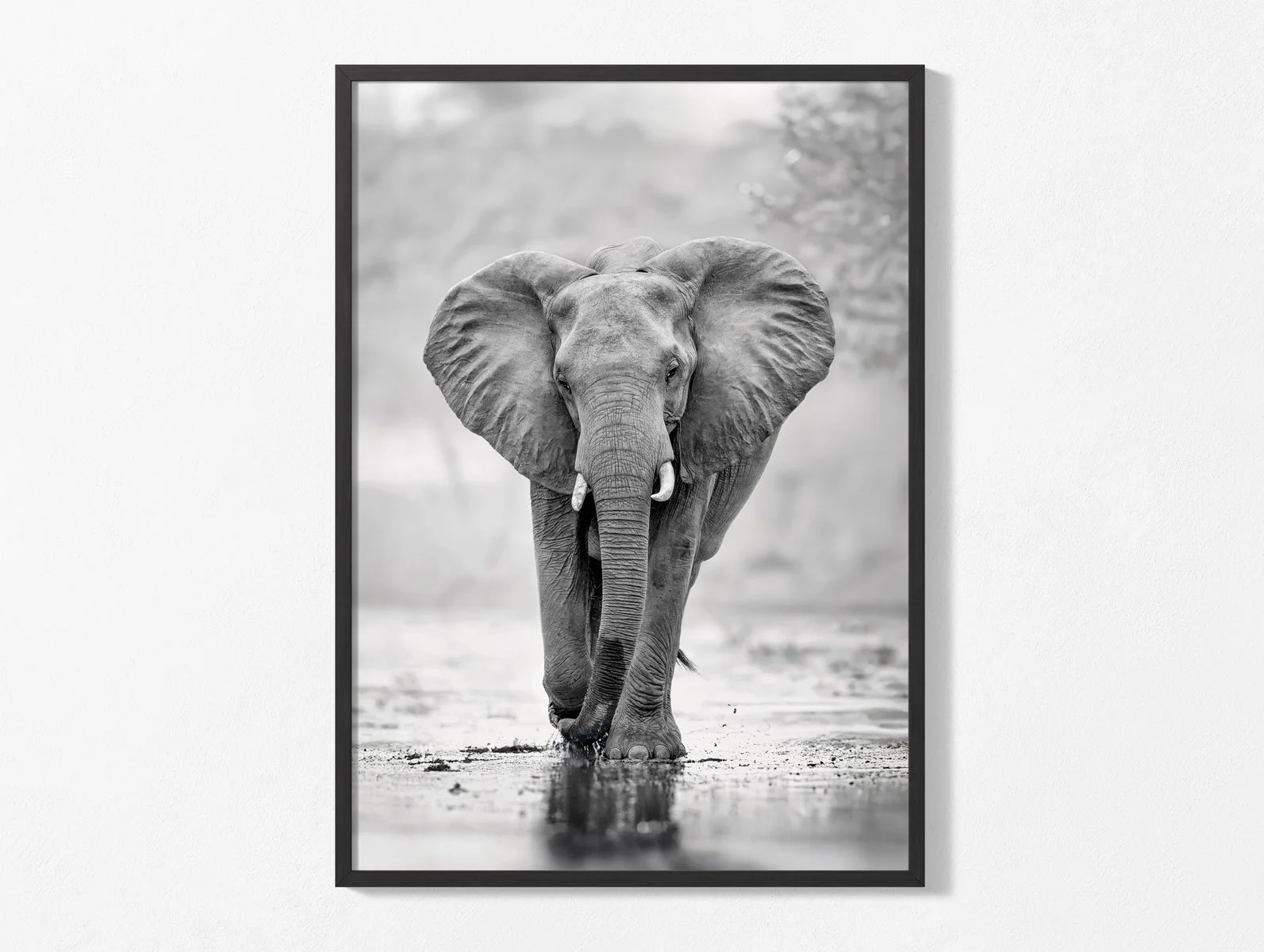 elephant016-wall002.jpg