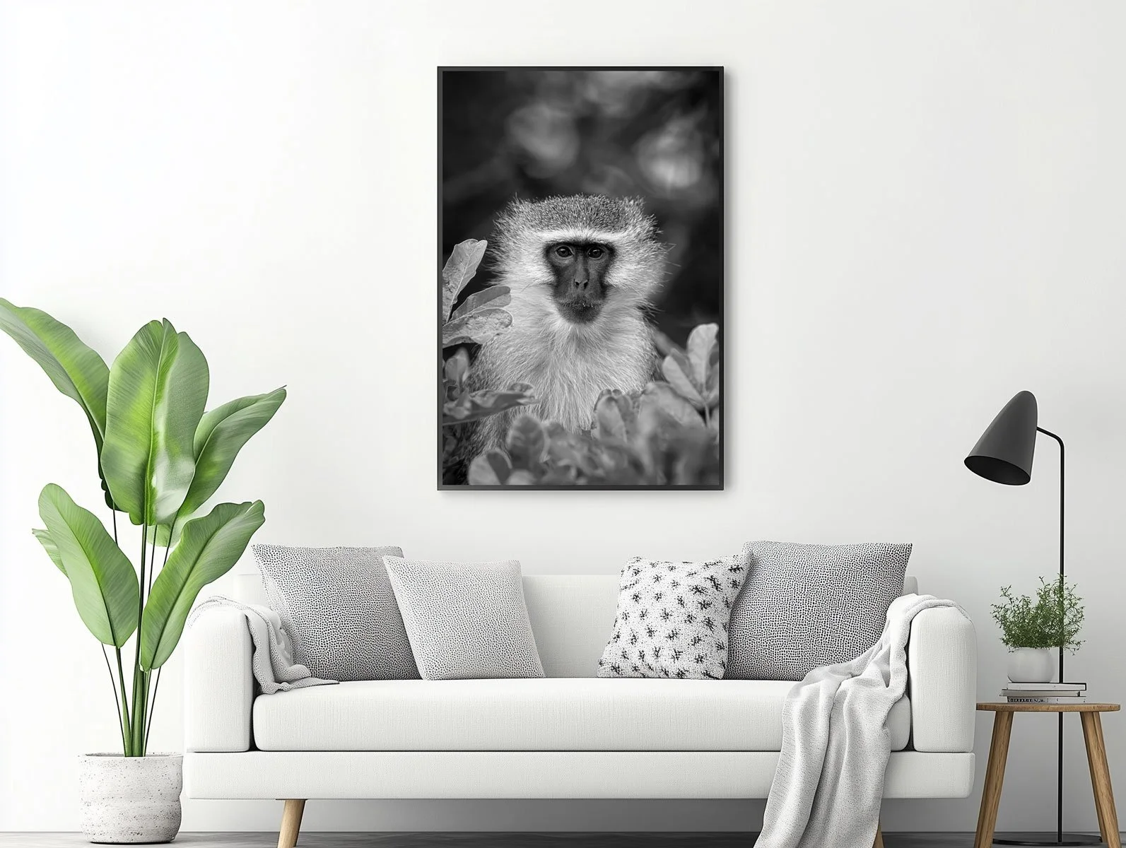 vervet-monkey009-1.jpg
