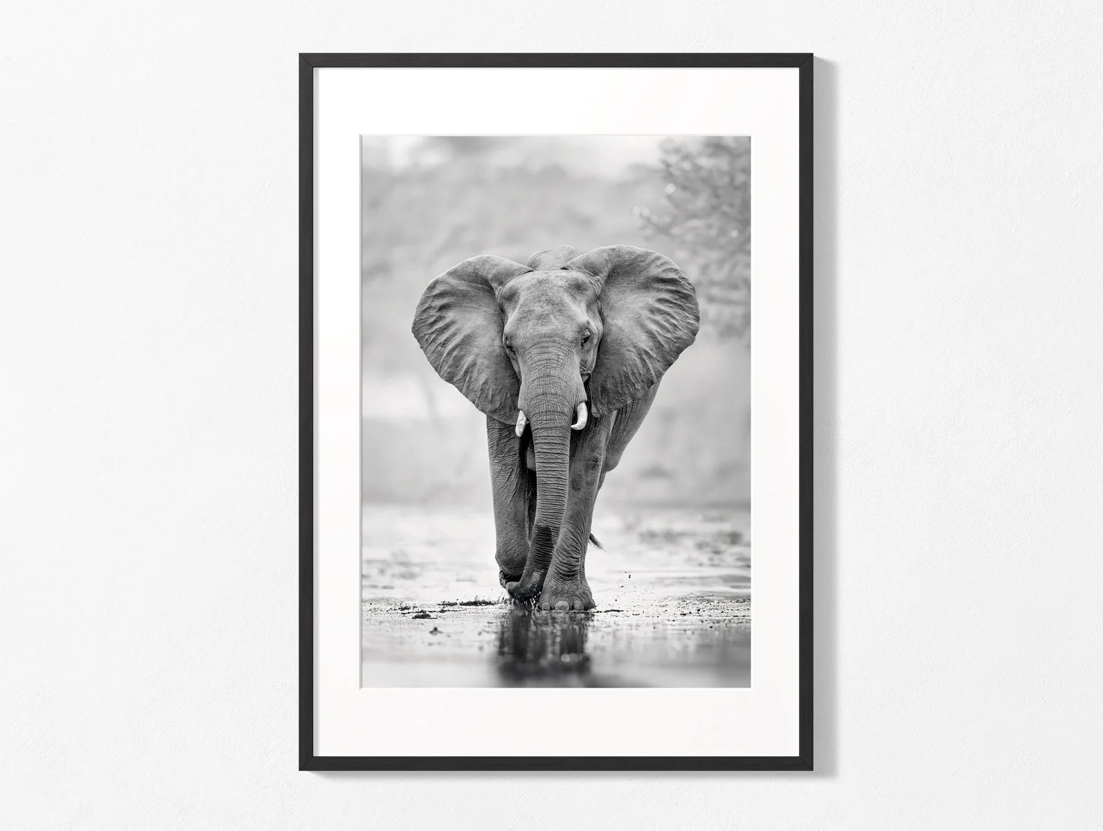 elephant016-wall003.jpg