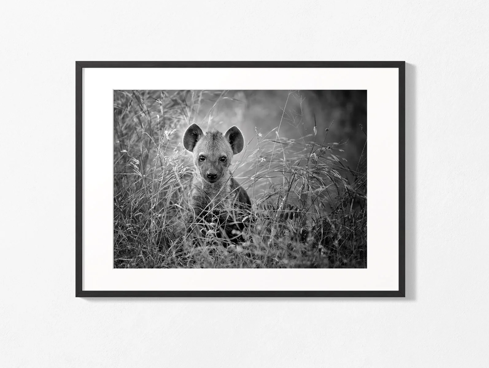 hyena008bw-004.jpg