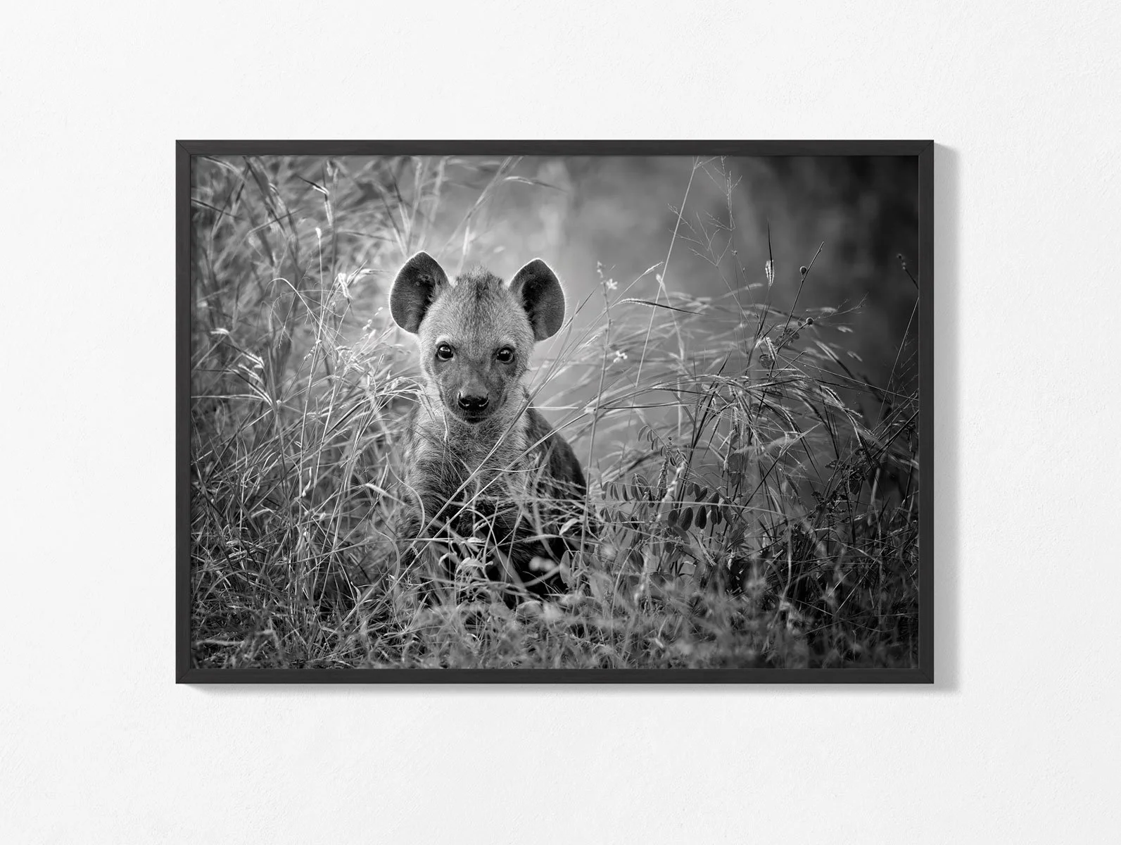 hyena008bw-003.jpg