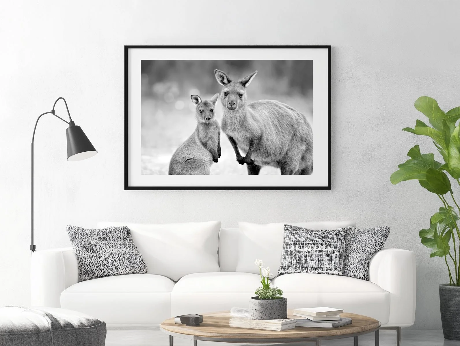 kangaroo-and-joey001-1.jpg