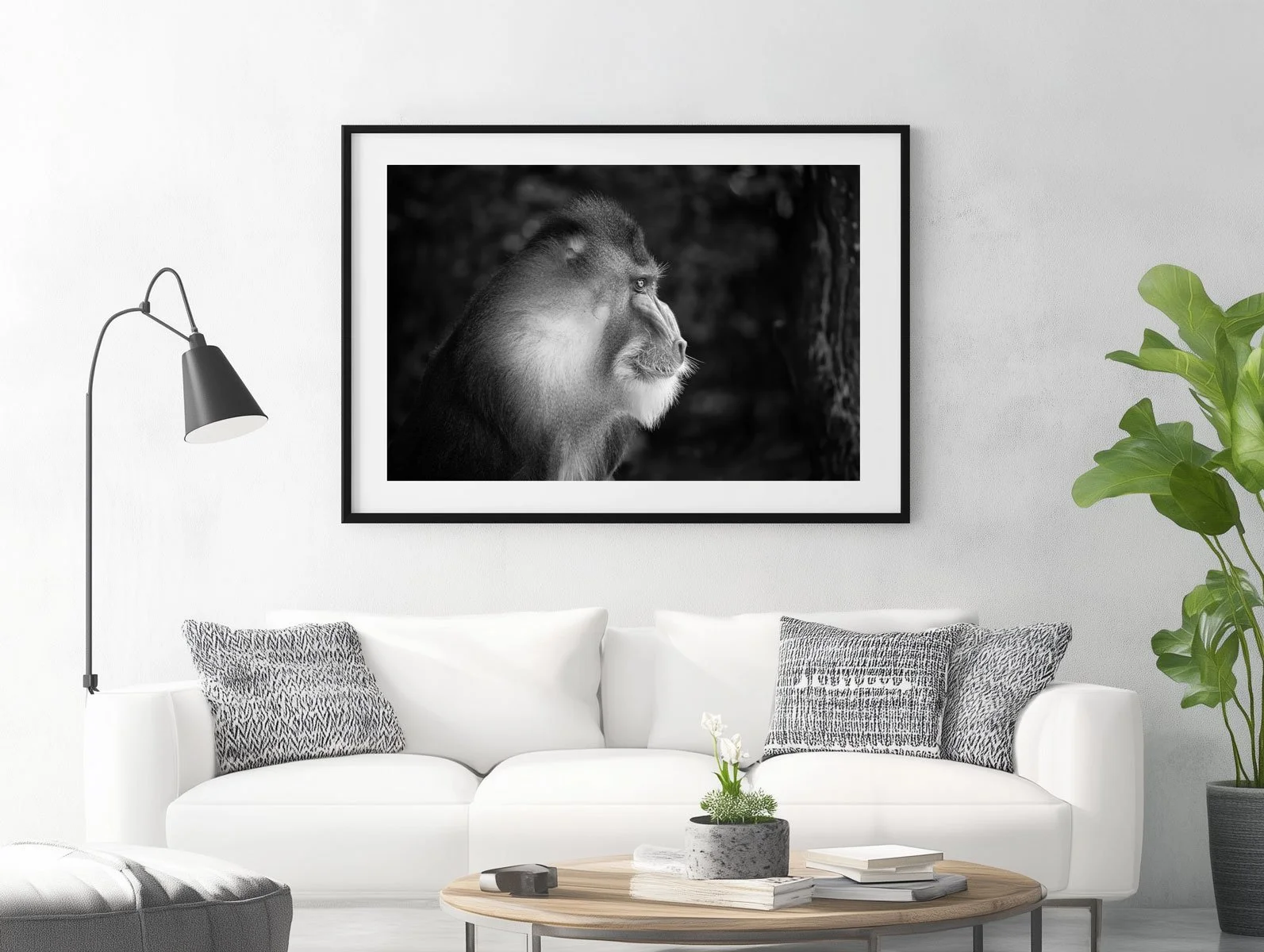 mandrill004bw003.jpg