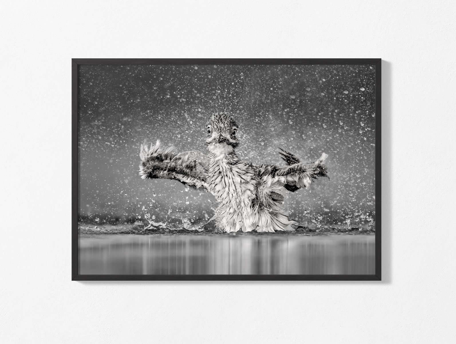 water-thick-knee008bw-wal001l.jpg