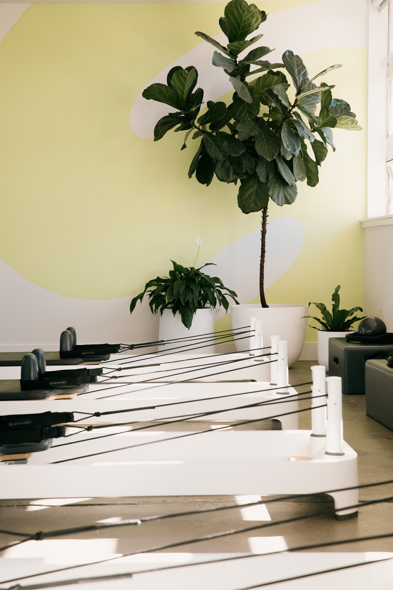 SALT PILATES_HIGH RES_004.jpg