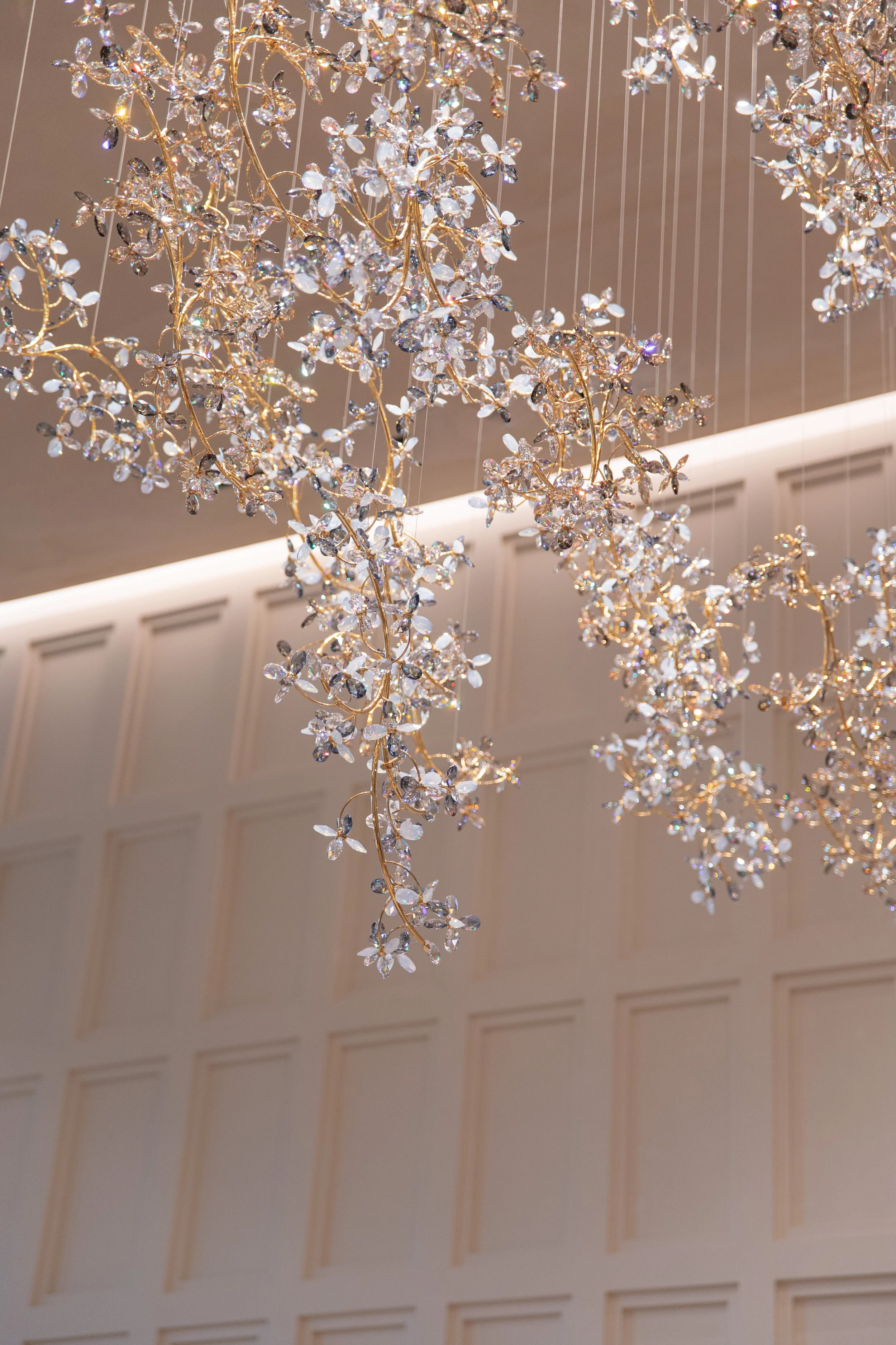 ROYAL CHAMPAGNE, Champagne Hospitality