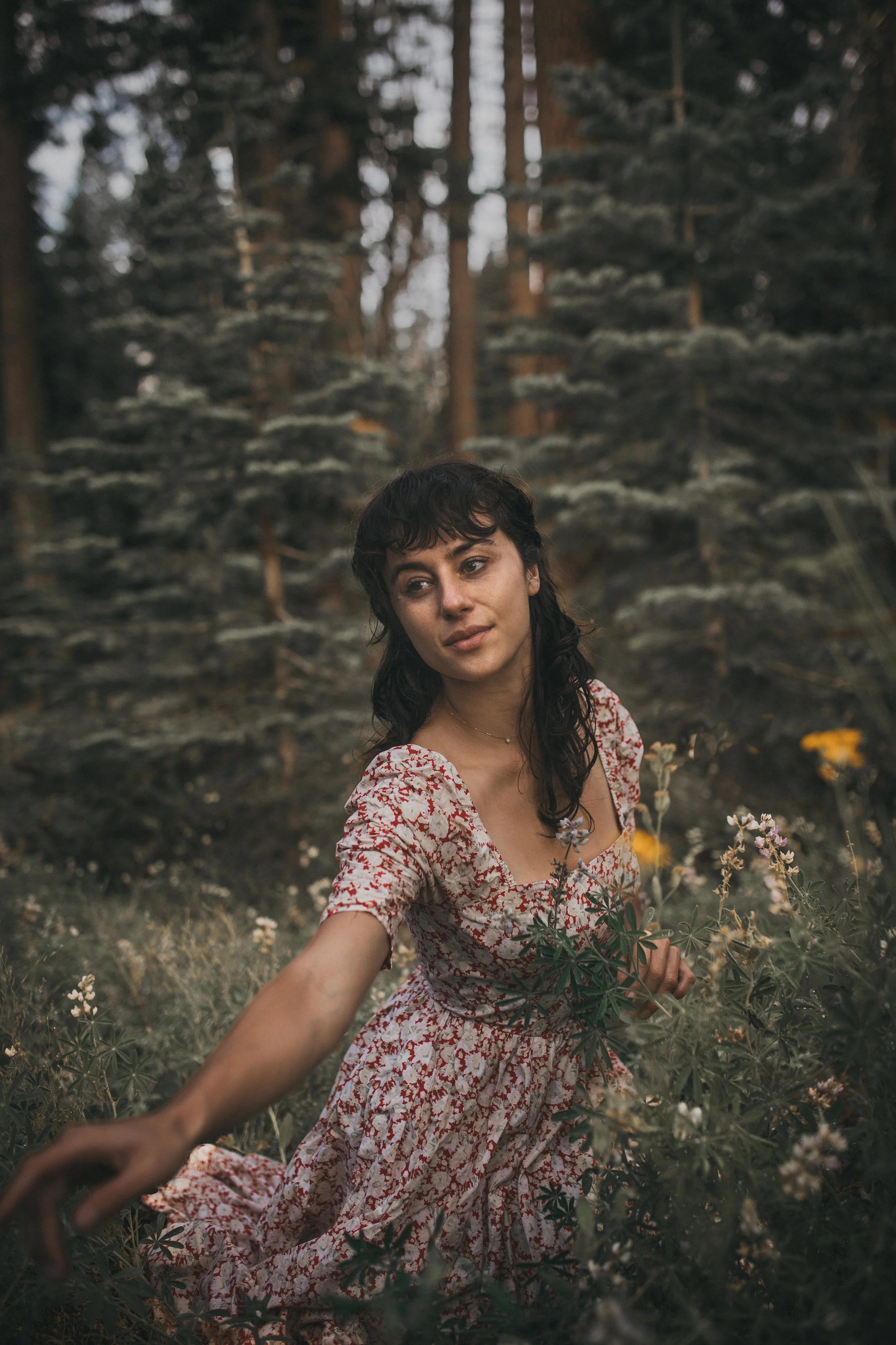 A portrait of a young brunette woman in a red floral dress sitting in a field surrounded by wildflowers and trees, with an expression of introspection, as she reaches for a flower.