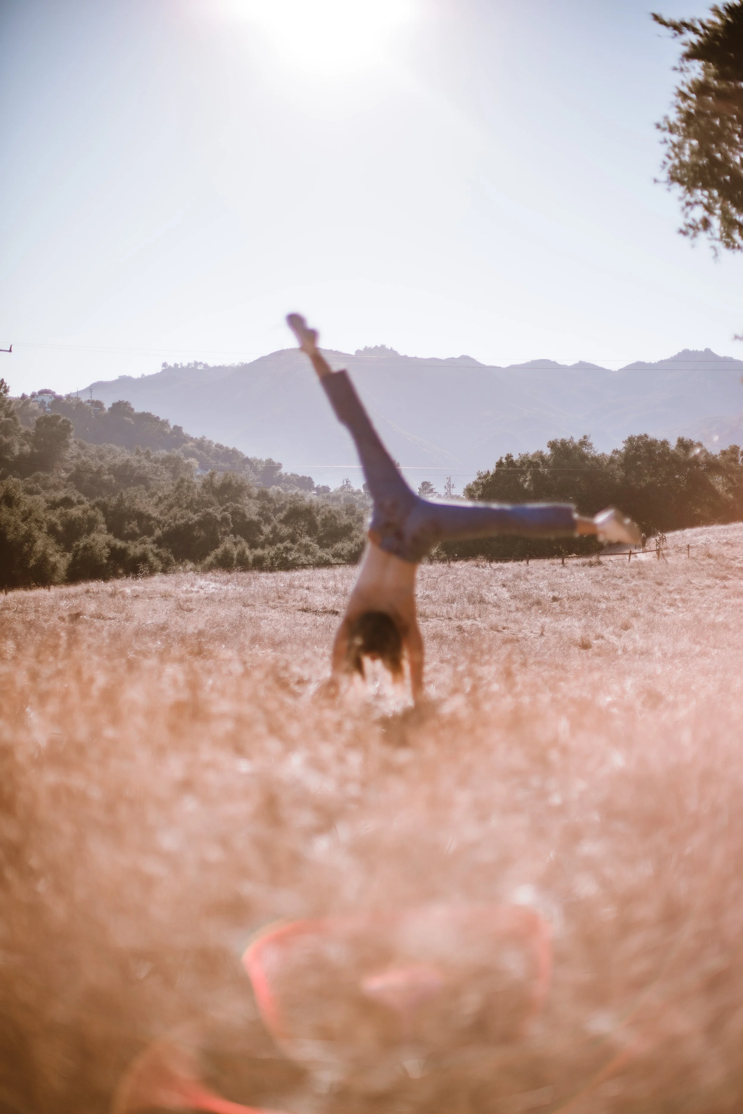 A portrait of a young woman performing a cartwheel in a sunny field with mountains in the background.