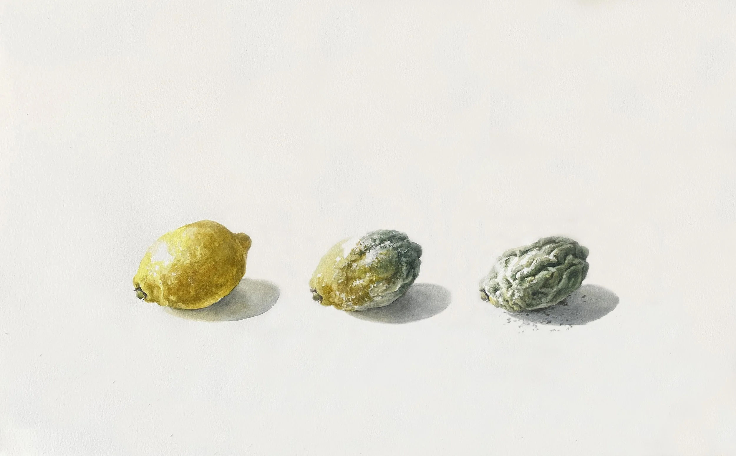 AnneMarieFaucon-Aquarelle-Citron-Pourri.jpg