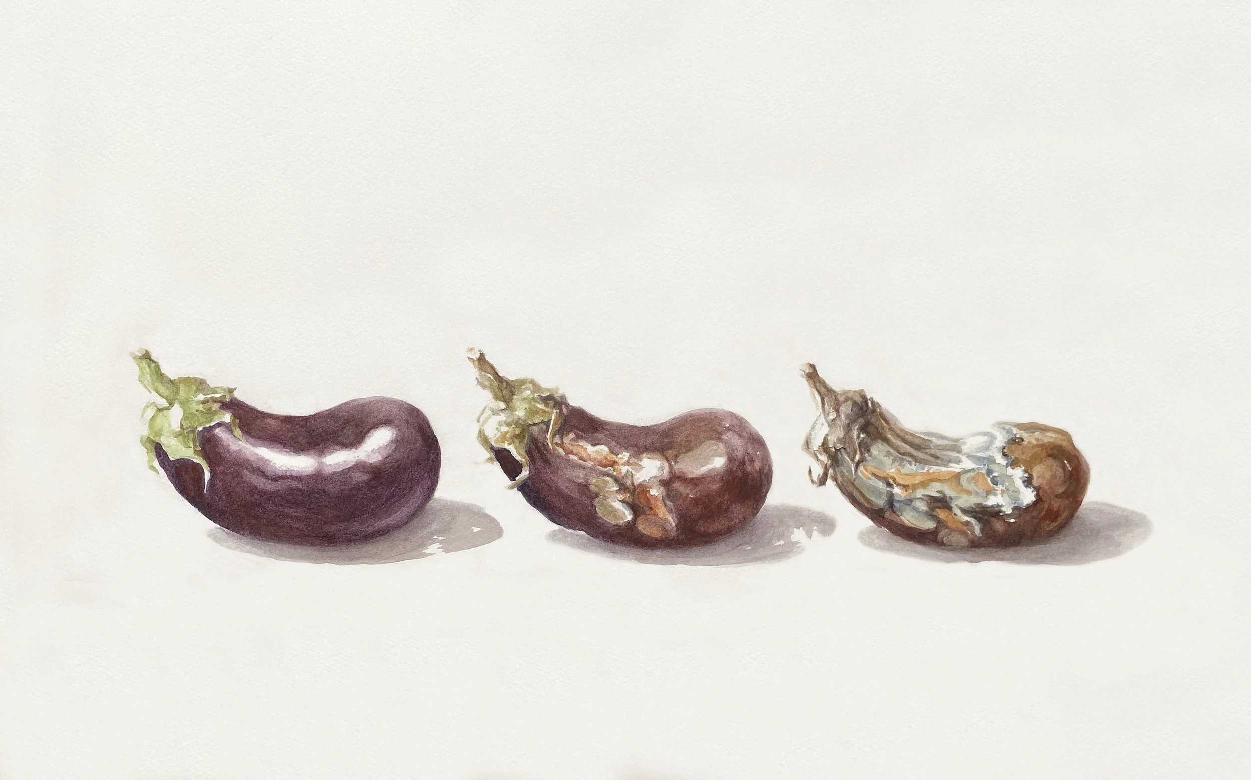 AnneMarieFaucon-Aquarelle-Aubergine-Pourrie.jpg