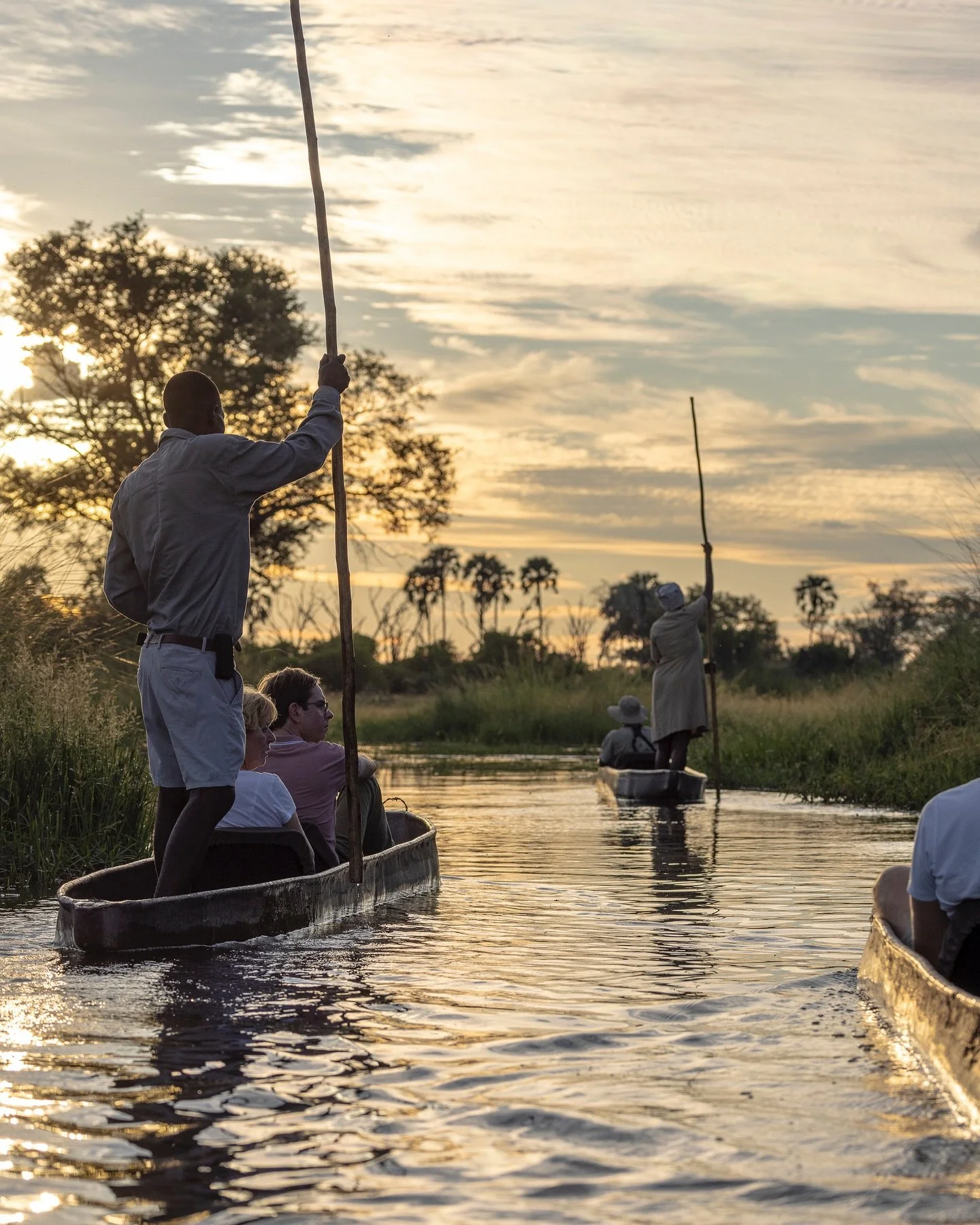 Snapshots from Atzar&oacute; Okavango &mdash; where every day in the Delta brings breathtaking views, unforgettable wildlife encounters, and moments of pure magic in nature. @atzaro.okavango  #botswana #okavangodelta #safari #africa