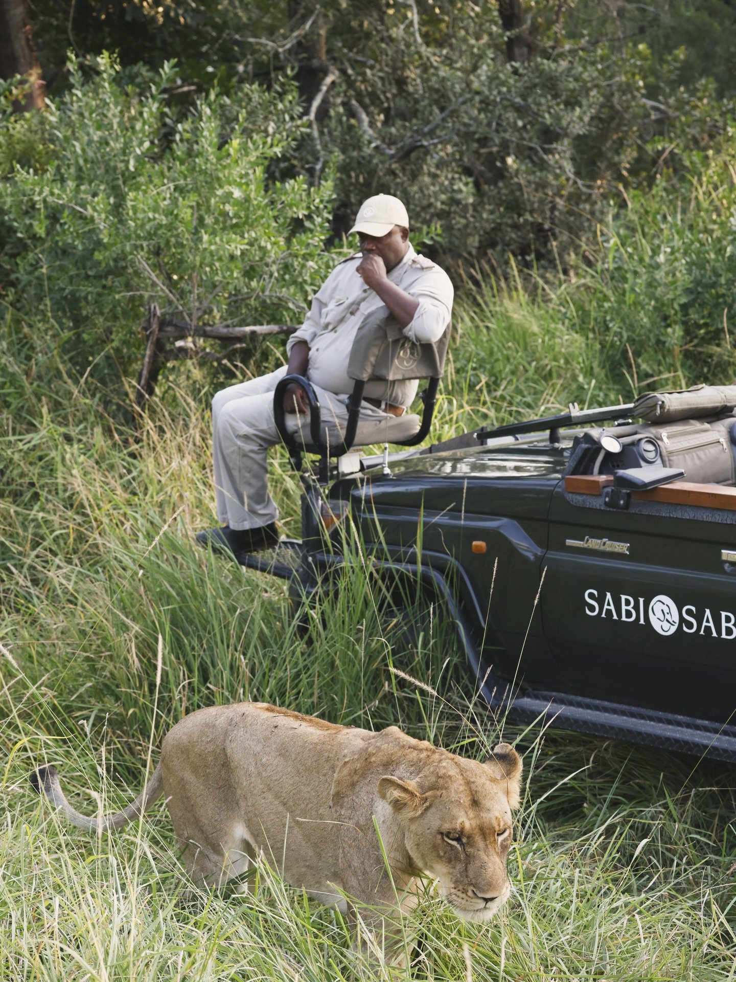A moment of pure safari magic, a lioness walking calmly past our vehicle in Sabi Sands.
Encounters like this are why this reserve is one of the best wildlife destinations in South Africa.  #SabiSands #AfricanSafari  #LuxurySafari #Southafrica