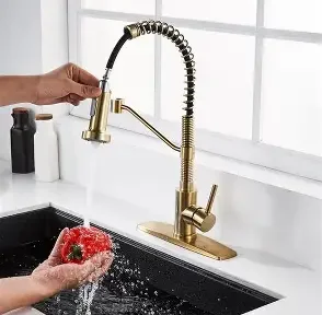 Premium Faucet Replacement