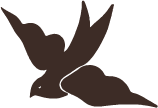 A whimsical illustrated motif of a flying bird
