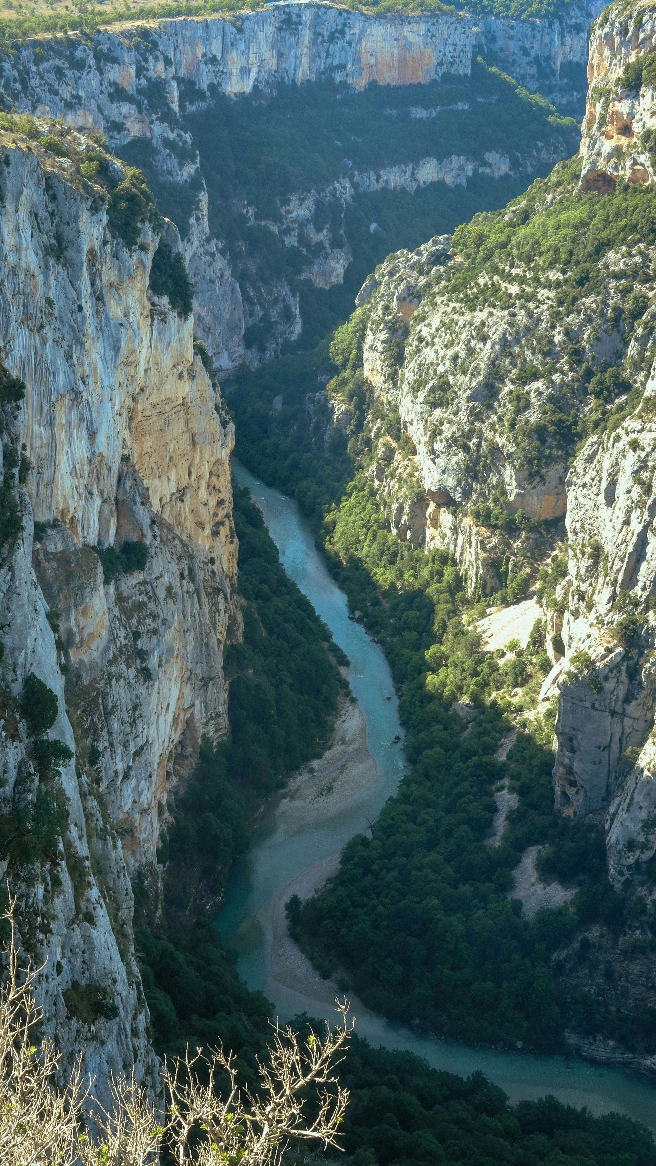 antonia-meier-7dx8_UkAgFo-unsplash.jpg