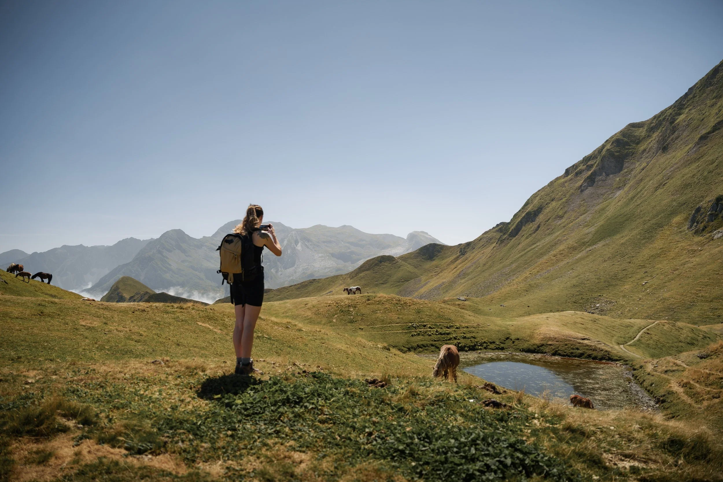 female-hiker-taking-pictures-of-wild-horses-grazin-2026-03-24-06-52-26-utc.jpg