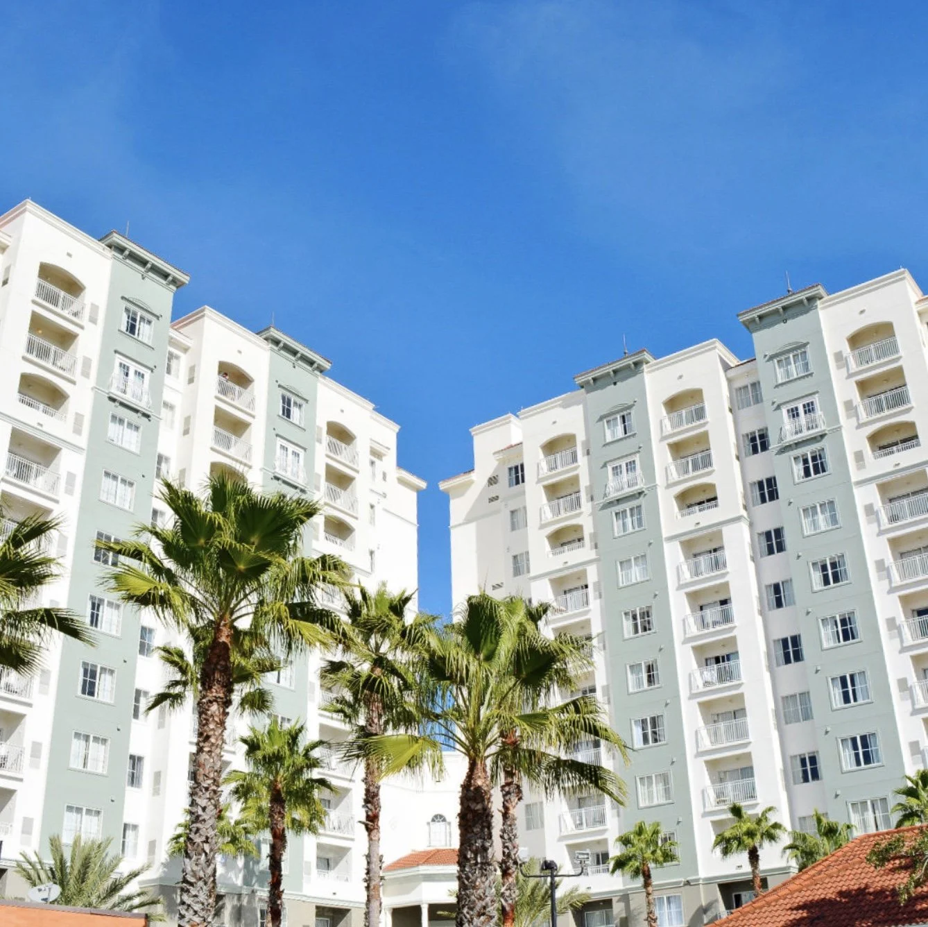 Image 3-29-24 at 11.36 AM.jpeg