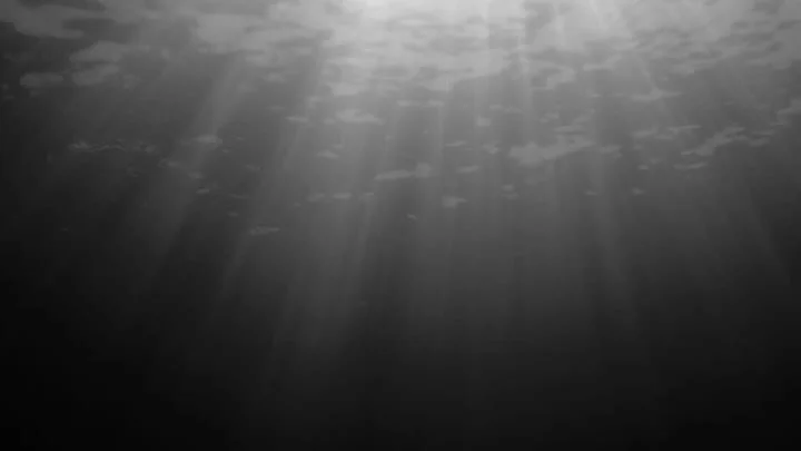 Chasing light in the endless blue 🌅