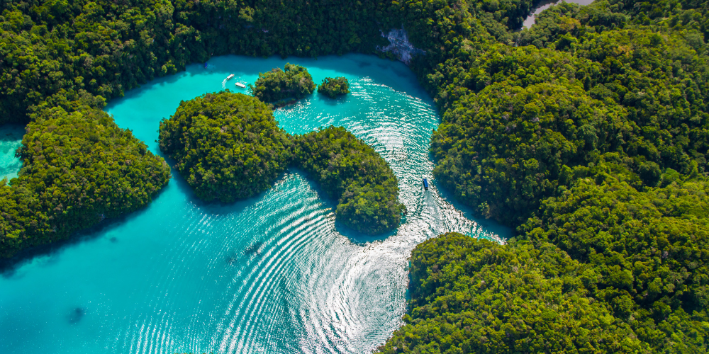 Palau Expedition — Blue Corner &amp; the Underwater Kingdom