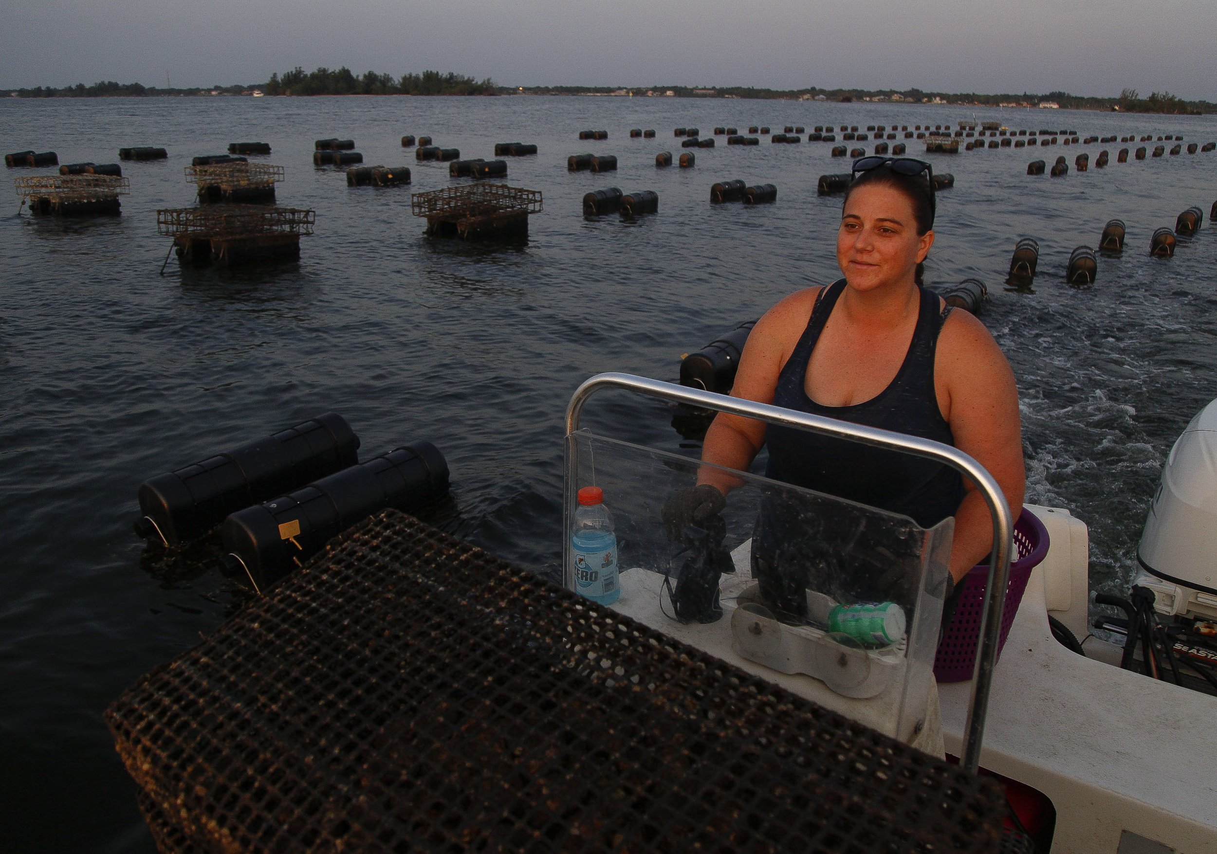 TCN OYSTER FARMER 001.JPG