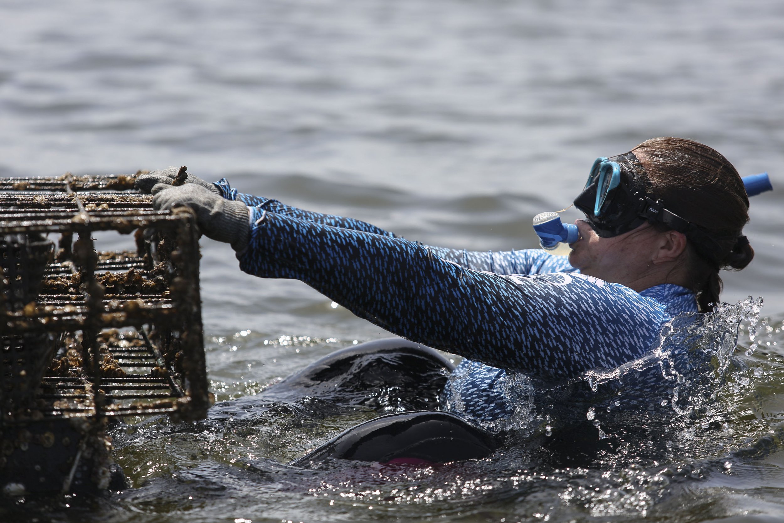 TCN OYSTER FARMER 008.JPG