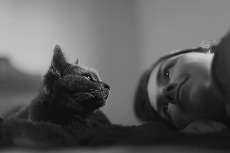 Parler aux animaux