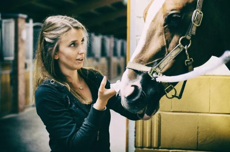 Parler à son chien, chat, cheval