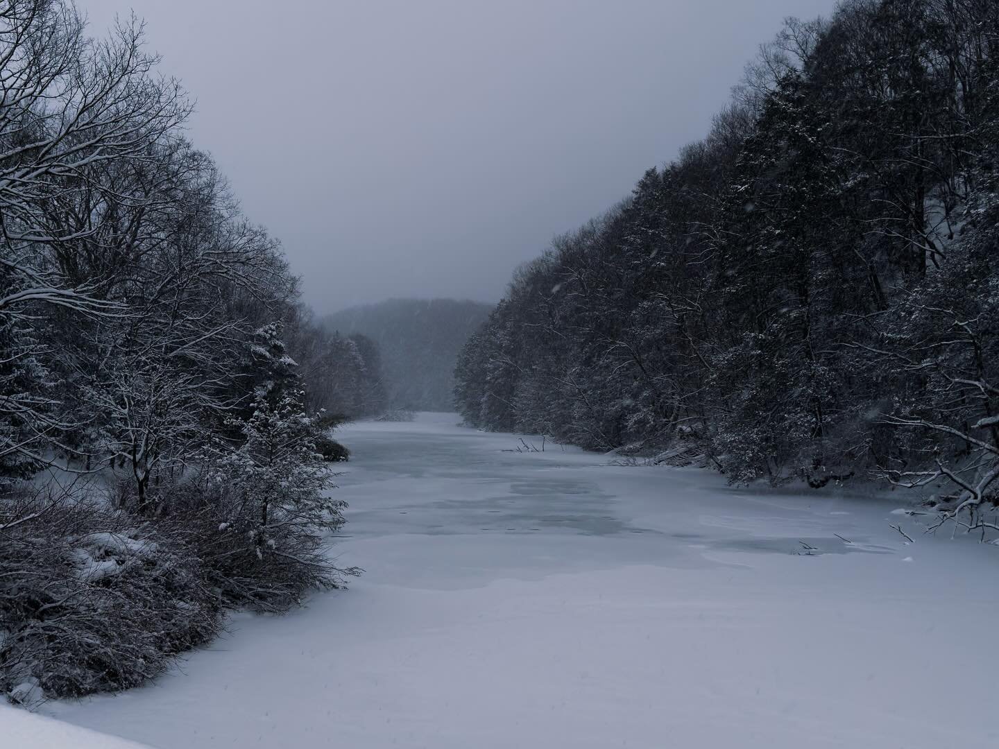 Took a little walk this evening! Captured this image of the River by my house! #elkins #elkinswv #wvtourism #elkinsrandolphwv #elkinswelcome #wv #snowphotography