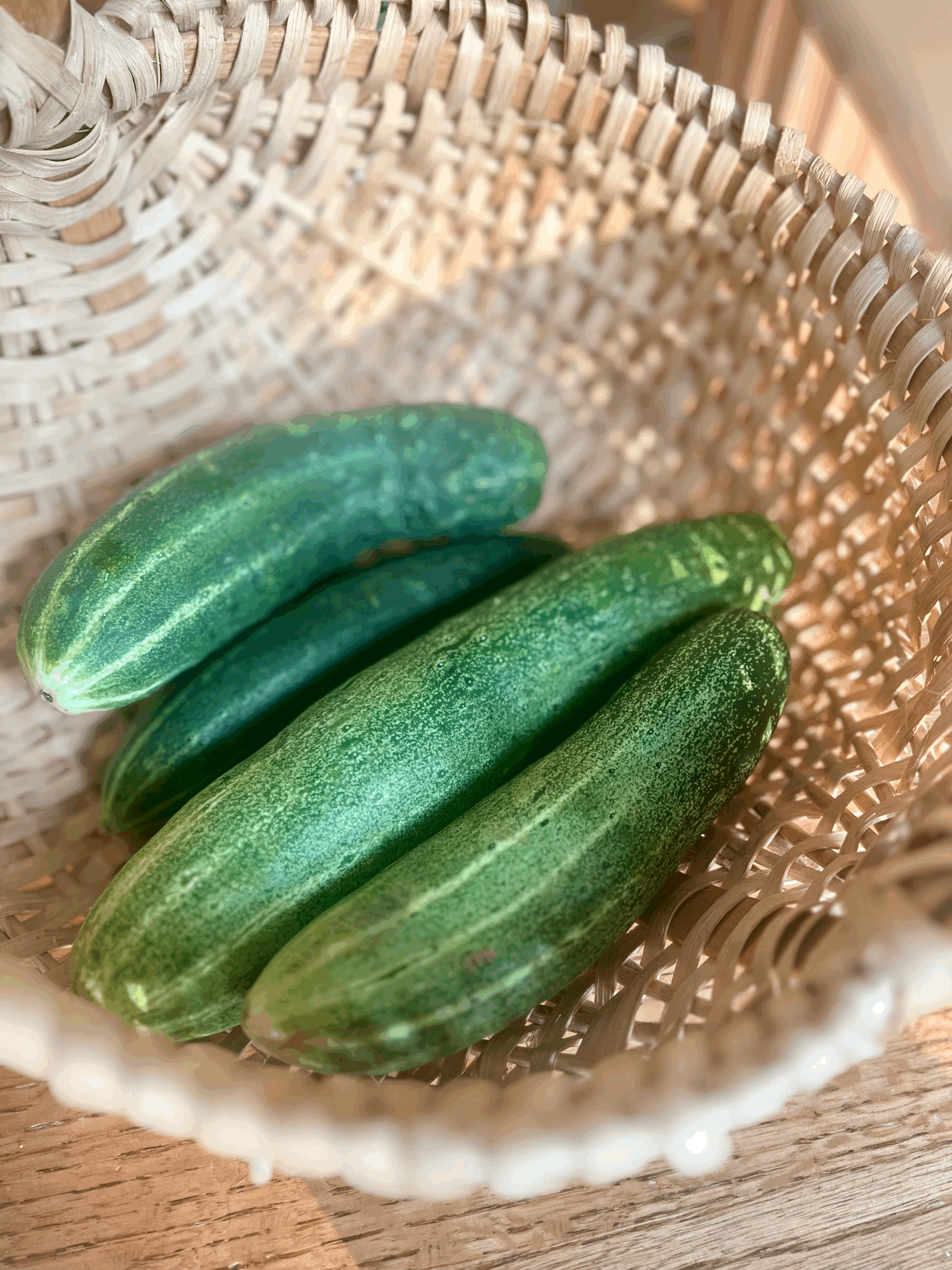 Cucumber