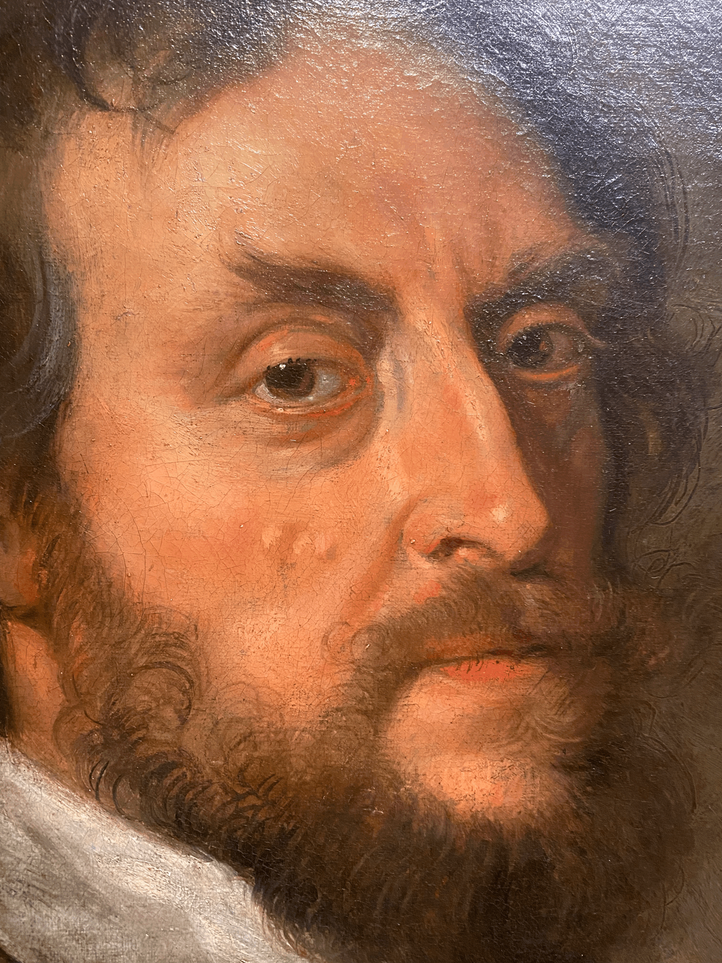 Thomas Howard by Rubens (3)