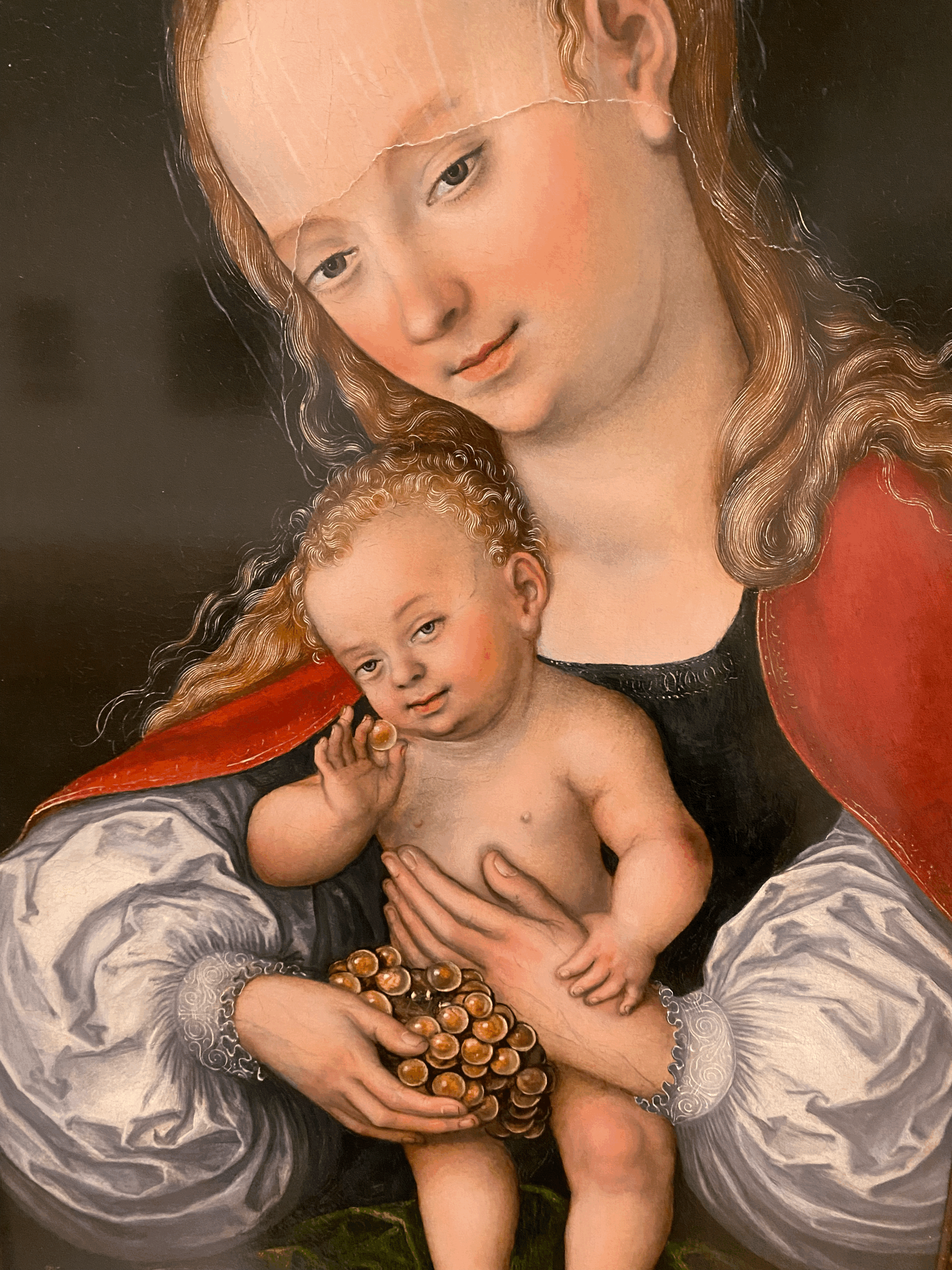Madonna and Child with Grapes by Lucas Cranach the Elder (2)