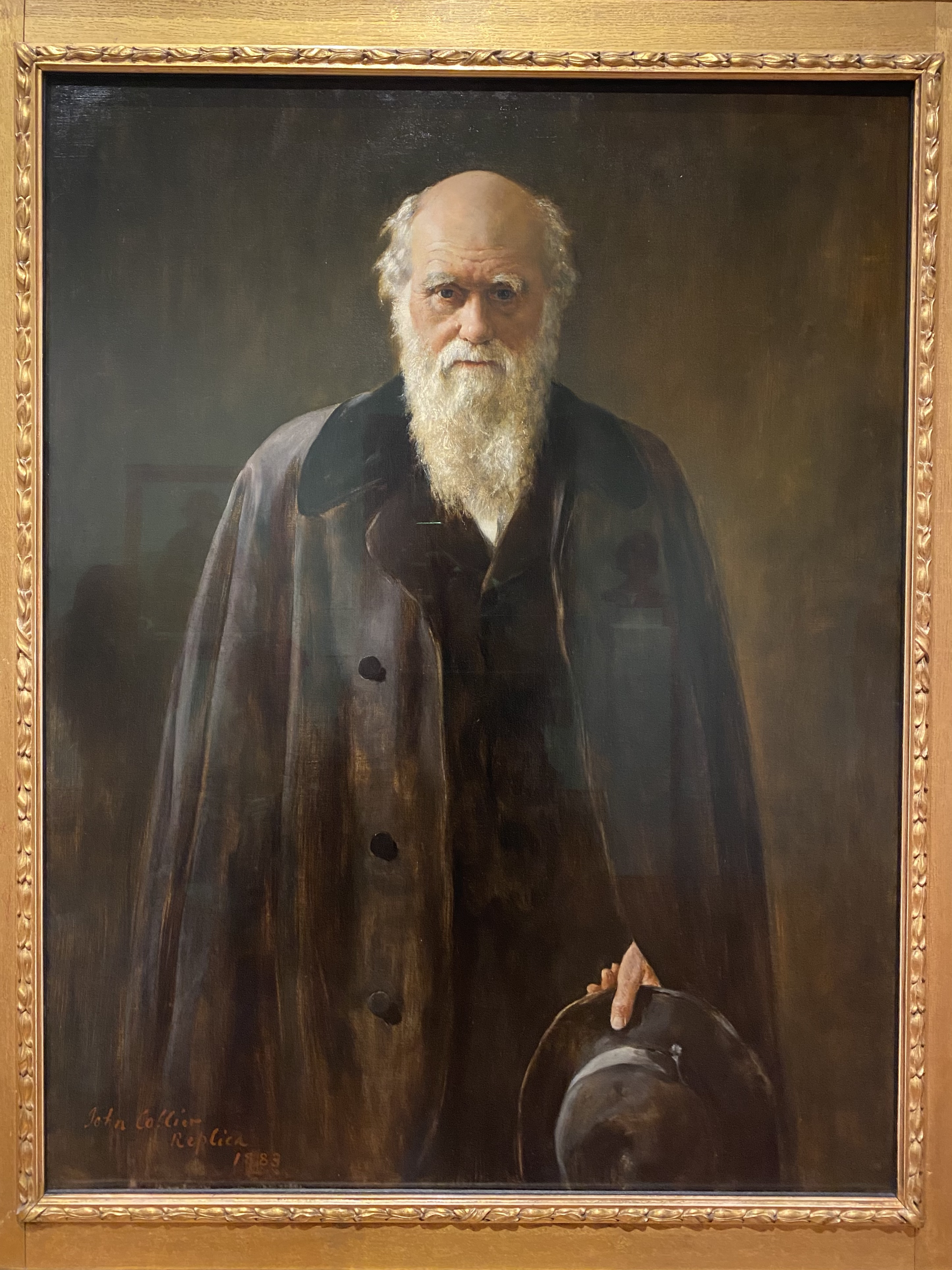 John Collier
Charles Robert Darwin
National Portrait Gallery