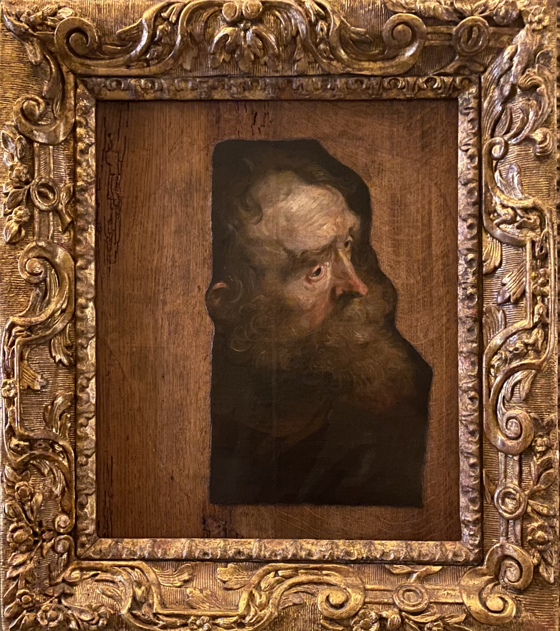 Anthony van Dyck
Testa di vecchio
Capodimonte