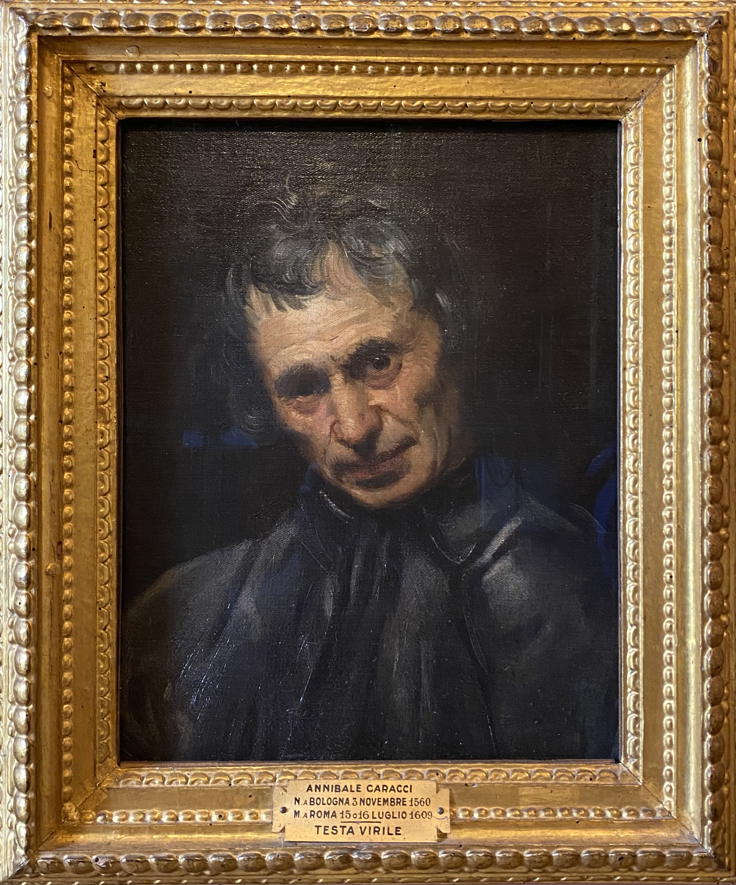 Annibale Caracci
Testa Virile
Pitti Palace